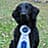 Ruth A Sumner avatar