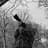 Ann L Olson avatar