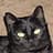 Penny A Crabtree avatar