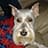 Bobby Wayne Pittman avatar