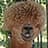 Kathleen Ann Hudson avatar