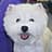 Robert R Carolyn Jacobs avatar