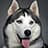 Larry Edward Vanvleet avatar
