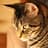 Ruby Mae Hodges avatar