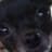 Todd E Crabtree avatar