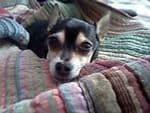 Brittany Rose Tuttle avatar