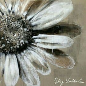 Doris Taylor Jacobs avatar