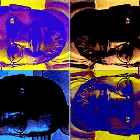 Bryant F Hepp avatar