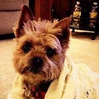 Ruby Ellen Sutton avatar