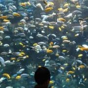 Connie D Zentz avatar