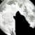 Charles Q Strack avatar