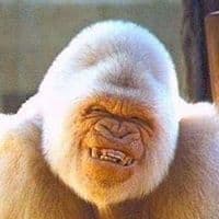 Rodger L Matney avatar