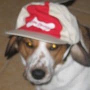 Sue B Swift avatar