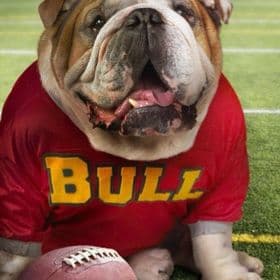 Johnny Lee Tuttle avatar