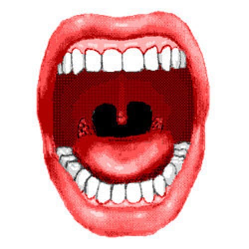Montea Roundtree avatar