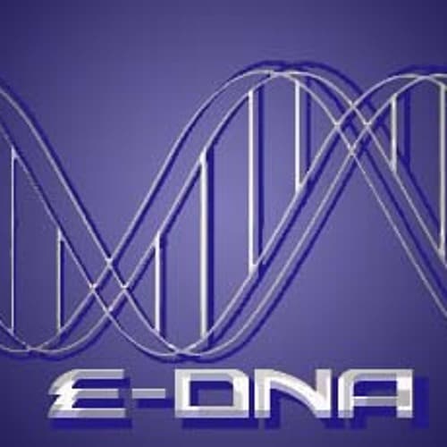 Edna A Sharp avatar