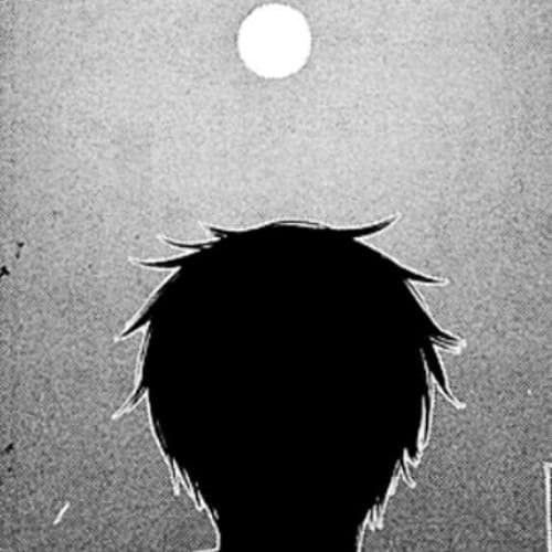 Stacy Noel Mayovsky avatar