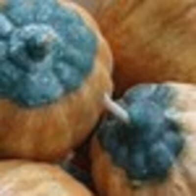 Ruth L Meeks avatar