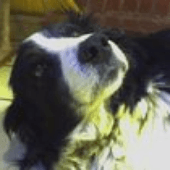 Wilma E Minor avatar