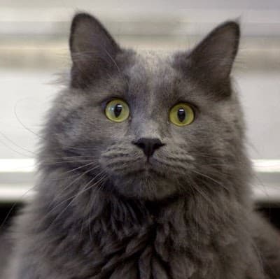 Jacalyn Ann Mathis avatar