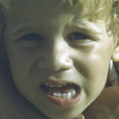 Sandra Tarullo Jacobs avatar