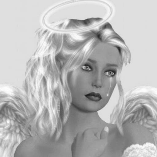 Sam T Tran avatar