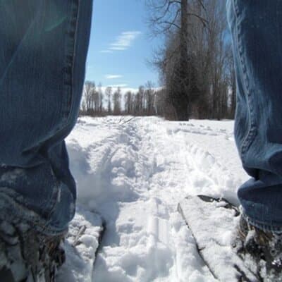 Sally Jean Scheff avatar