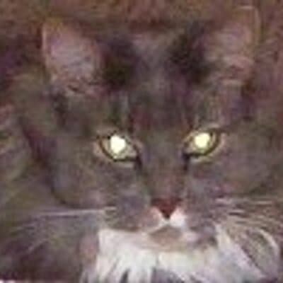 Phyllis M Howell avatar