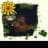 Ricky Wayne Robnett avatar