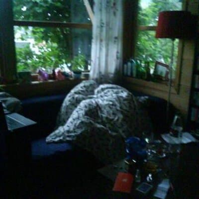 Janet F Smith avatar