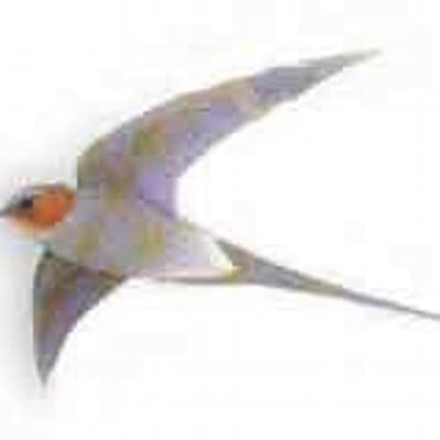 Teresa Desmet Swift avatar