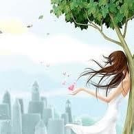 Trinh T Chu avatar