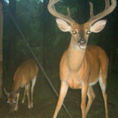 Joseph W Yoder avatar