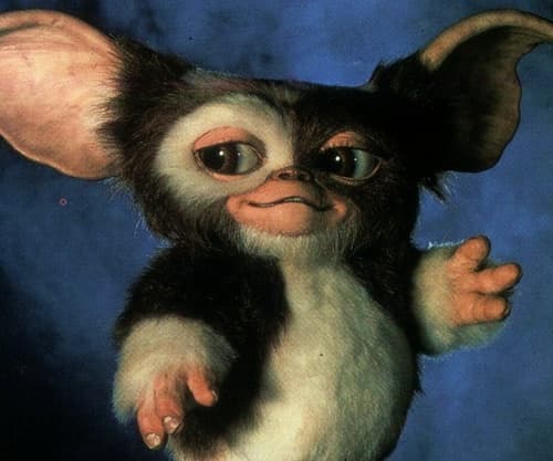 Lewis J Adolph Jr. avatar