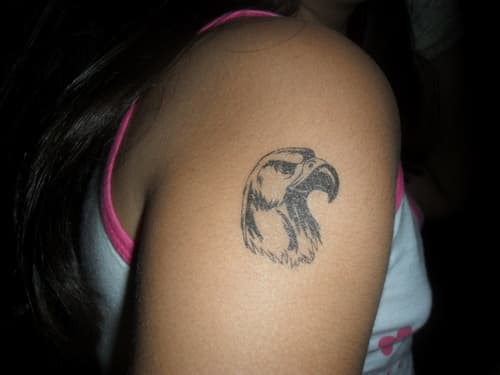 Stephanie Arreguin avatar