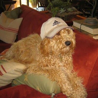 Sh Vandergrift avatar