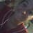 Fadil S Merhemic avatar