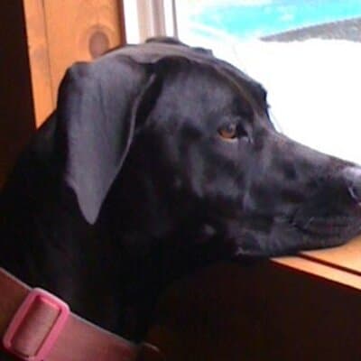 Jeferey L Swift avatar