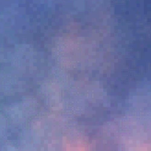 Brandy Shell avatar
