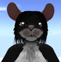 Stephanie Jeanne Shackelford avatar