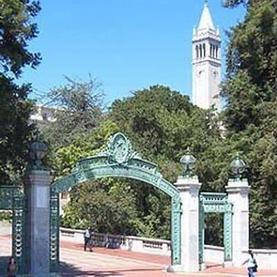 Berkeley Merchant avatar