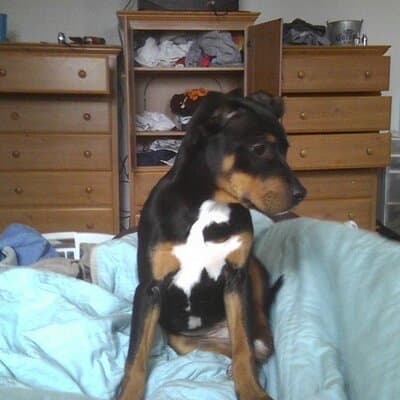 Walter A Schemm Sr. avatar