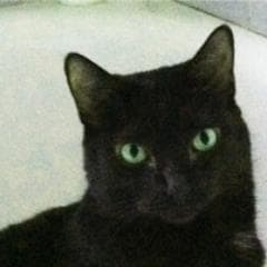 Ruth K Ewers avatar
