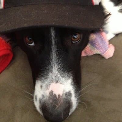 Lance M Mathewson avatar