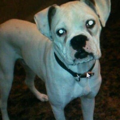 Charlene A Carson avatar