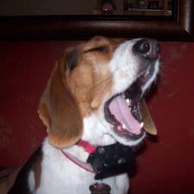 Nellie May Merrifield avatar
