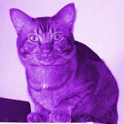 Jonna Mattsen avatar