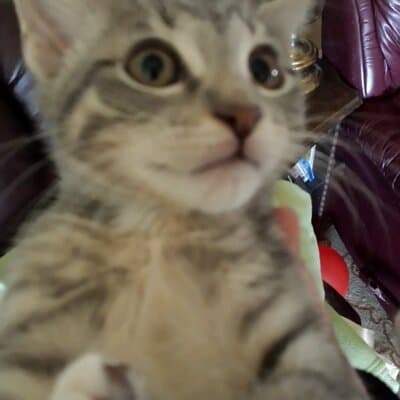 Sherry L Mathis avatar