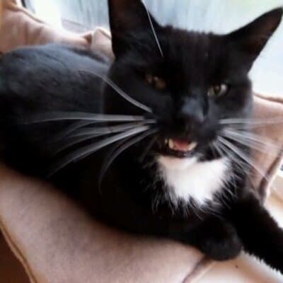 Ruth R Schutter avatar