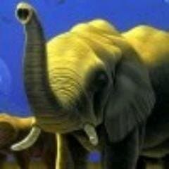Gavin T Roundtree avatar